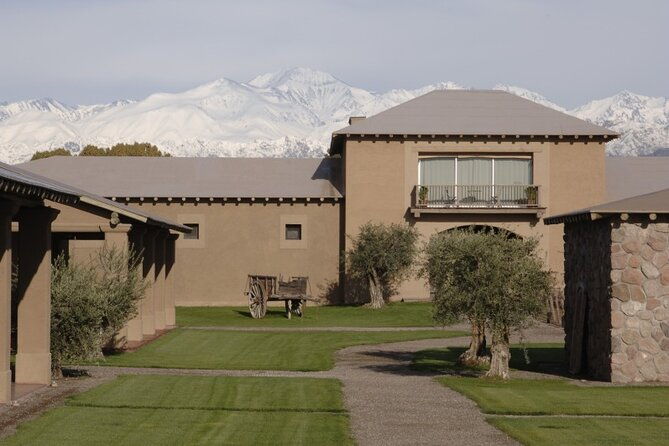bike-tour-in-mendoza-wine-country
