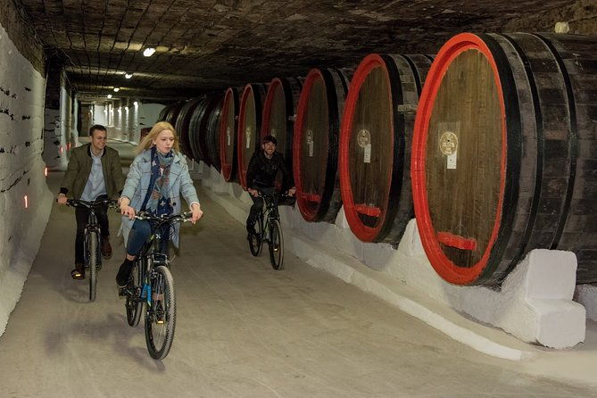 biking-a-guinness-book-winery