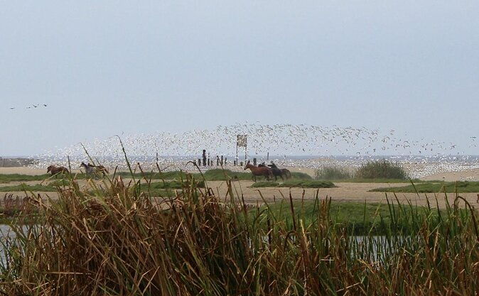 biking-to-wildlife-refuge-and-birdwatching-pantanos-de-villas