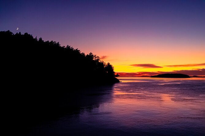bioluminescence-and-sunset-kayak-tour-in-the-san-juan-islands