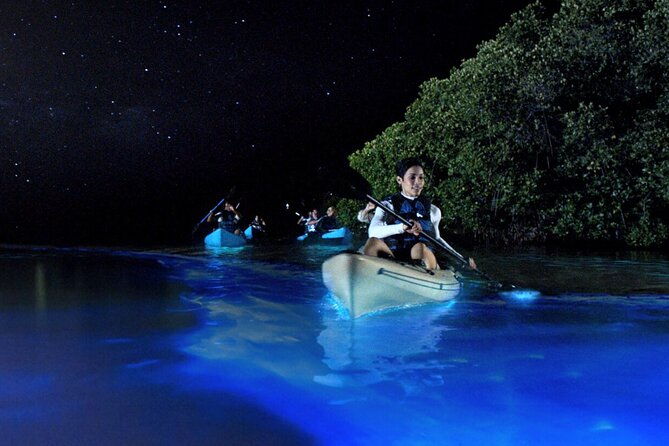 bioluminescence-clear-kayak-or-paddleboard-tour-near-orlando