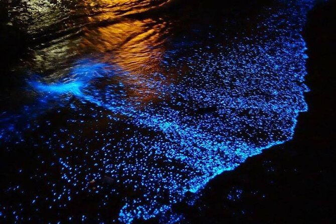 bioluminescence-experience-from-curu-wildlife-refuge