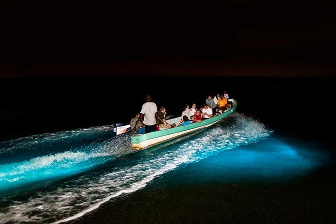 bioluminescence-tour-sunset-river-cruise