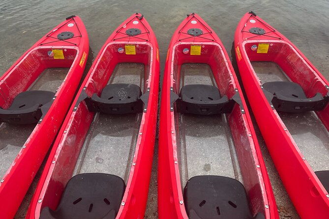 bioluminescent-clear-bottom-kayak-or-paddleboard-sit-on-top-kayak-hybrid-tour