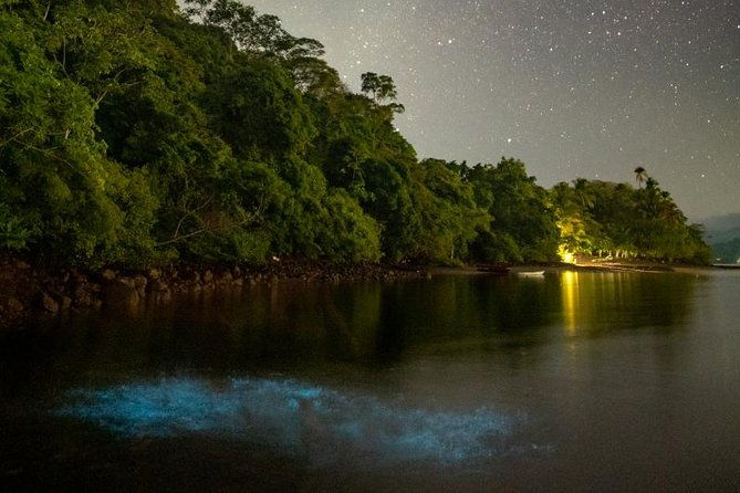 bioluminescent-kayak-tour