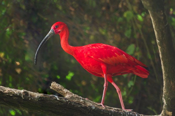 bird-sanctuaries-tour