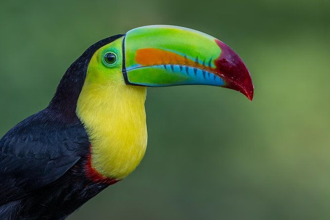 birding-metropolitan-natural-park