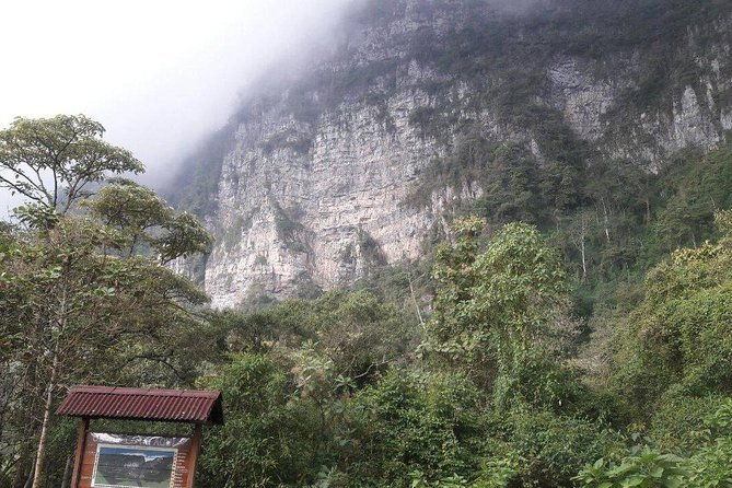 birding-nature-to-chicaque-cloud-forest-nature-reserve-2