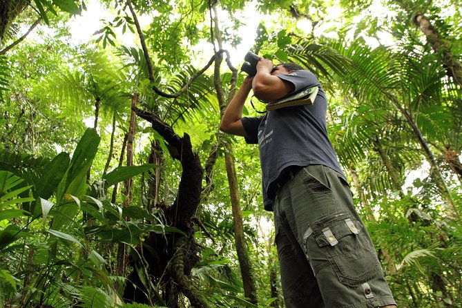 birdwatching-at-mundo-aventura-natural-park