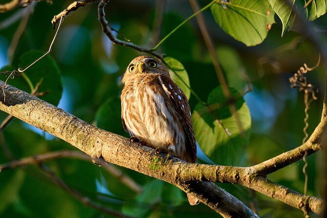 birdwatching-in-a-private-nature-reserve