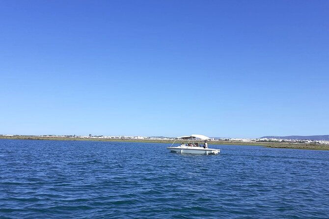 birdwatching-in-ria-formosa-eco-boat-tour-from-faro