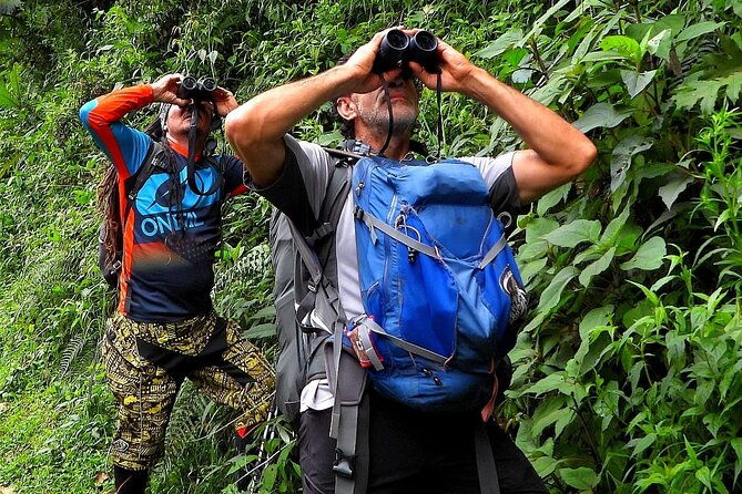 birdwatching-in-salento