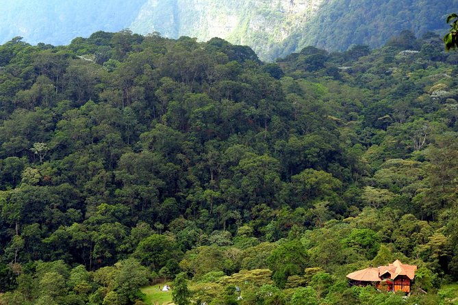 birdwatching-private-tour-at-chicaque-natural-park-with-lunch