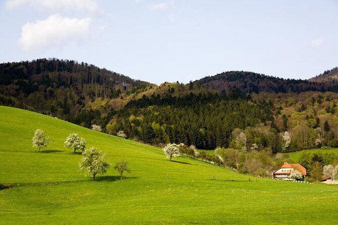 black-forest-tour-by-car-quick-tour-from-freiburg