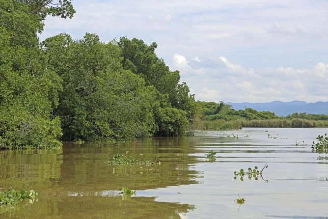 black-river-safari-ys-falls-and-floyds-pelican-bar