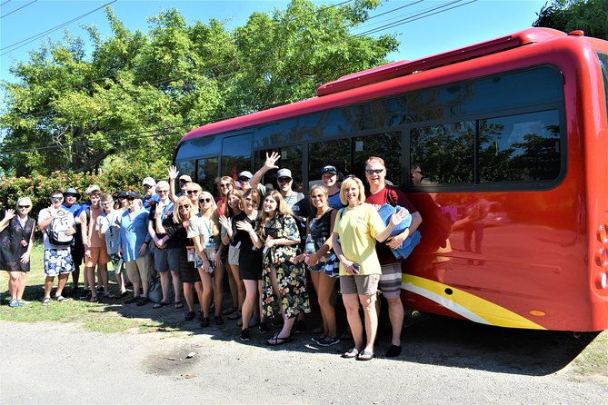 black-river-safari-ys-falls-guided-tour-with-lunch-admission-from-negril