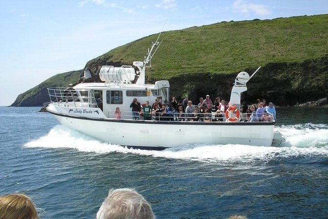 blasket-island-eco-tour