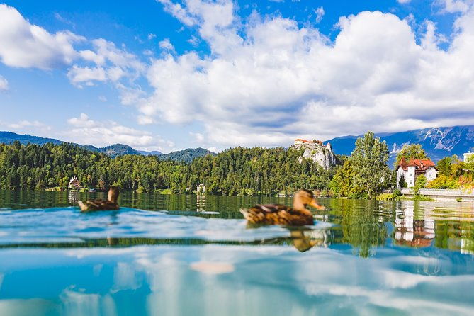 bled-lake-island-castle-private-half-day-trip-from-ljubljana