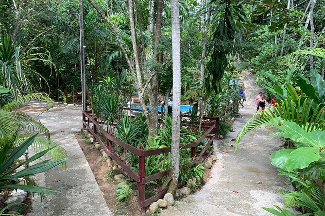 blue-hole-dunns-river-falls-with-lunch-from-negril