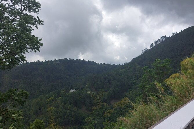 blue-mountain-sight-seeing-nature-trail-hike-with-private-guide