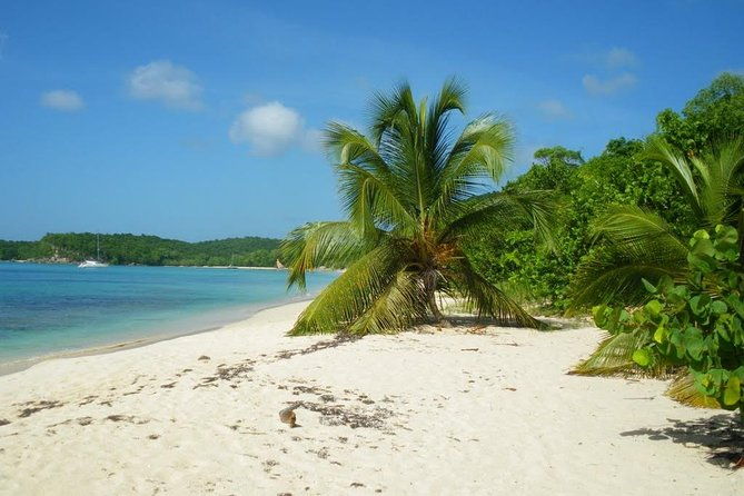 boat-cruise-to-the-french-islands