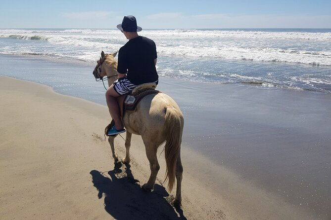 boat-ride-gentle-beach-beach-horseback-ridelunch-crocs-turtles