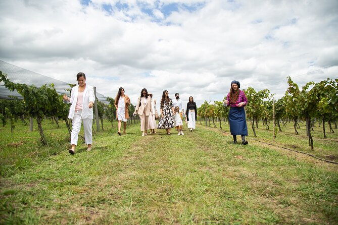 bodega-gamboa-small-group-wine-tasting-tour-with-lunch