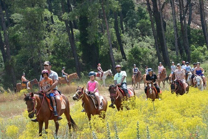 bodrum-horse-riding-experience-w-hotel-transfer-service