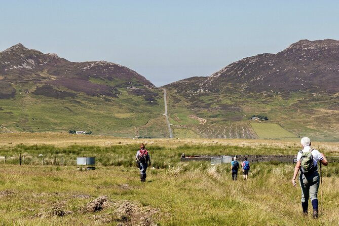 bog-safari-hike-2
