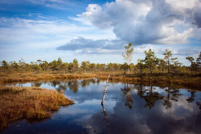bogs-and-resorts-in-jurmala