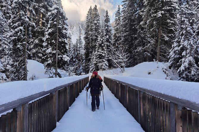 bolzano-dolomites-winter-hiking-sledding-experience