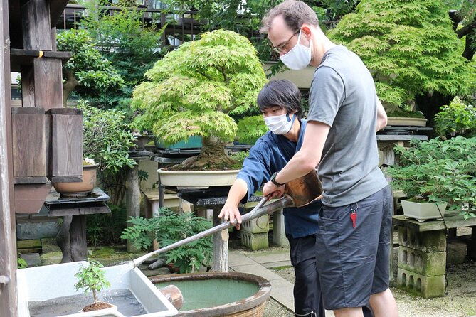 bonsaijapanese-plants-artculture-experience-in-tokyo-progress