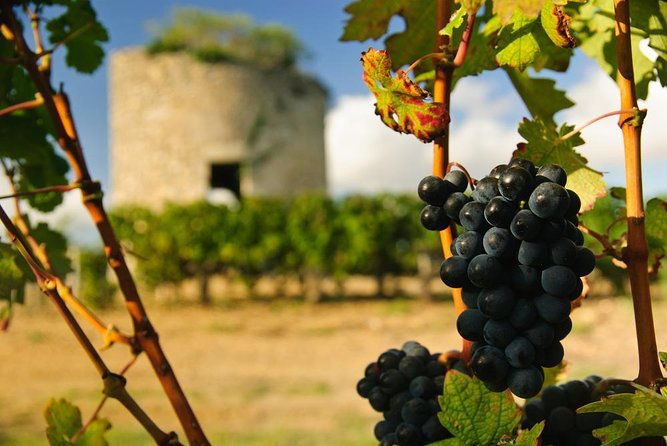 bordeaux-full-day-medoc-and-st-emilion-wine-tour-with-lunch