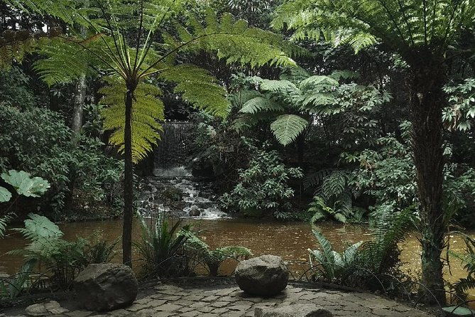 botanical-garden-bogota-private-tour-4-hrs
