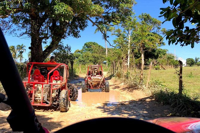 buggy-adventure-macao-beach-cenote-experience