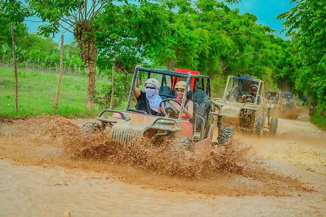 buggy-ride-into-the-jungle-with-cave-coffee-chocolate-tasting