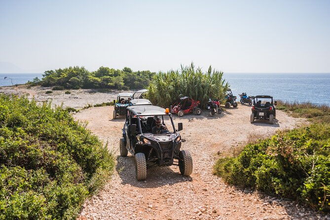 buggy-safari-with-wine-tasting-2
