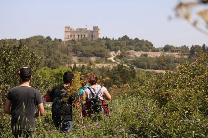 buskett-woodlands-and-dingli-cliffs-nature-walking-private-tour