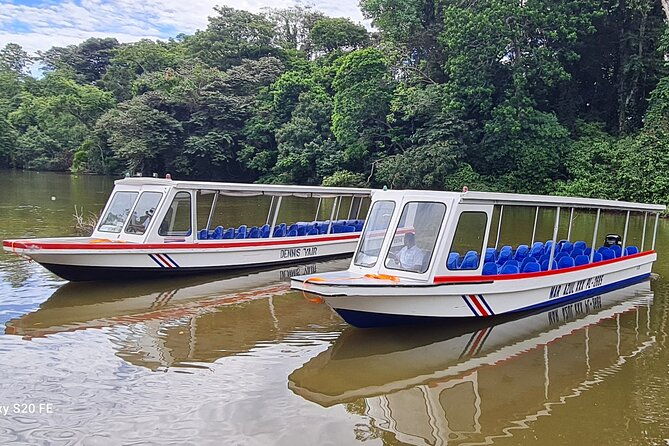 butterfly-garden-tortuguero-canals-a-unique-tropical-adventure