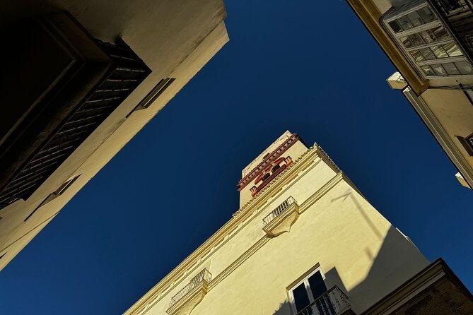 cadiz-from-a-seagulls-eye-view-a-route-between-rooftops-and-observation-towers