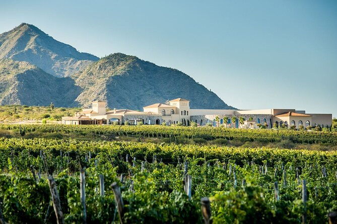 cafayate-wine-trail-excursion-explore-saltas-vineyards