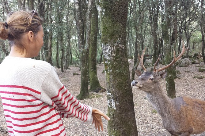 cagliari-is-cannoneris-nature-reserve-jeep-and-walking-private-tour-from-chia