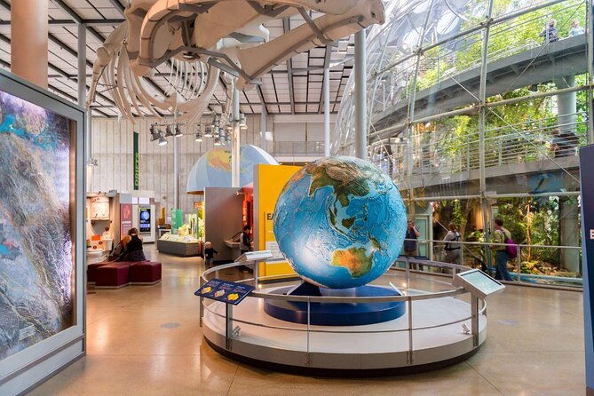california-academy-of-sciences-nightlife-admission-ticket
