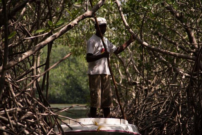 canoe-trip-in-the-mangrove-forest-in-la-boquilla
