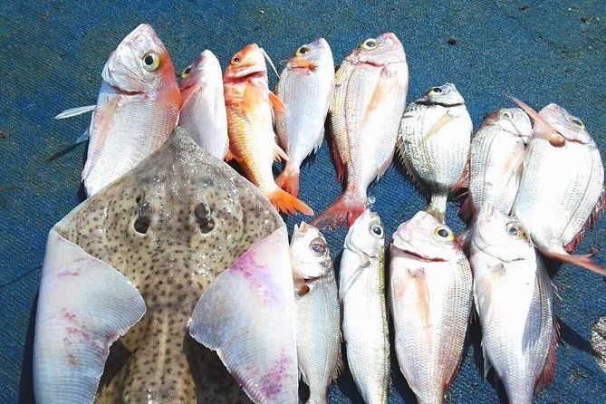 capri-fishing-excursion-with-snorkeling-and-lunch-from-sorrento