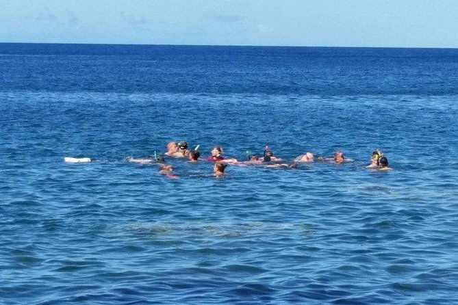 captains-most-popular-snorkeling-and-beach-day-with-lunch