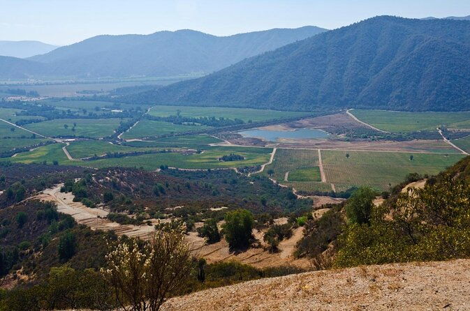 casablanca-valley-casa-del-bosque-3-vineyards-full-day