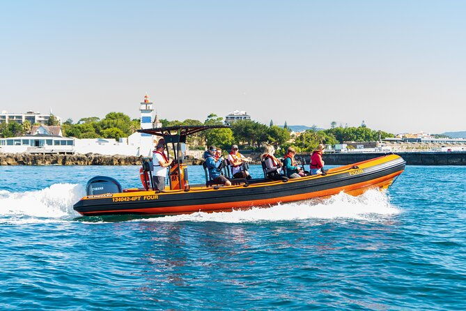 cascais-coast-dolphin-watching-2