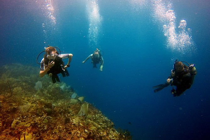 catalina-island-diving