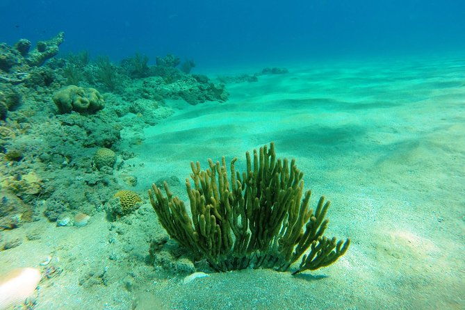 catamaran-cruise-with-snorkeling-and-lunch-on-board